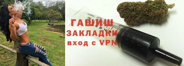 гидра Братск