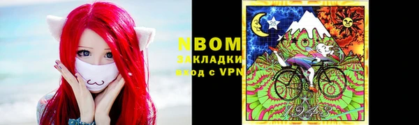 мдпв Краснослободск