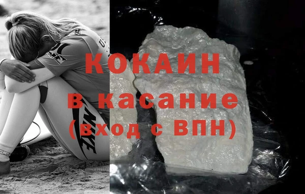 шишки Кодинск