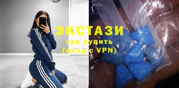 мдпв Краснослободск