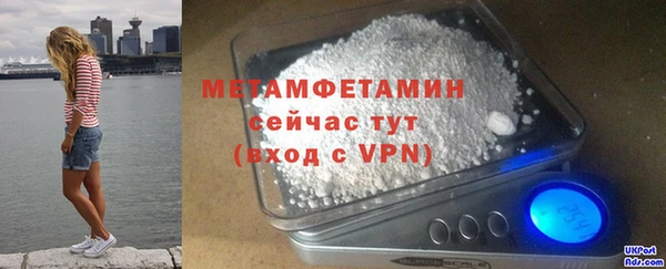 шишки Кодинск