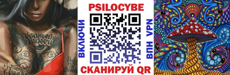 наркота  Сурск  hydra сайт  Галлюциногенные грибы Magic Shrooms 